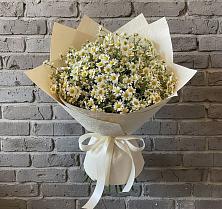 Букет цветов из:  Ромашки #REPLACE_PRED# Коркино