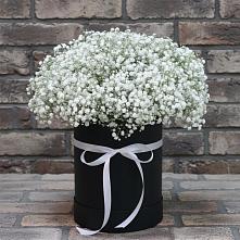 Цветочная композиция из Гипсофила в шляпной коробке в Коркино