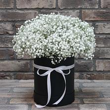 Цветочная композиция из Гипсофила в шляпной коробке в Коркино